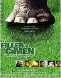 Filler ve Çimen