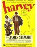 Harvey