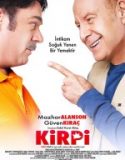 Kirpi