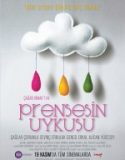Prensesin Uykusu