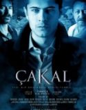 Çakal