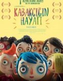 Kabakçığın Hayatı