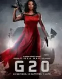 G20