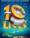 Meraklı Kedinin 10 Yaşamı
