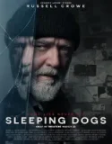 Uyuyan Köpekler