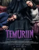 Temurun