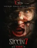 Siccin 7