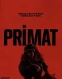 Primate