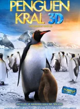 Kral Penguen