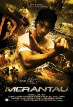 Merantau Savaşçısı