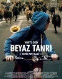 Beyaz Tanrı