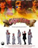 Çılgın Kamp