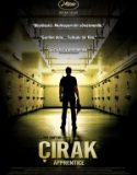 Çırak (2016)