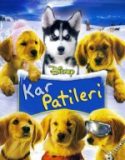 Kar Patileri
