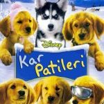 Kar Patileri