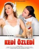 Kedi Özledi