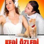 Kedi Özledi