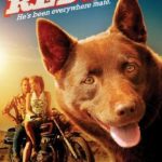 Kırmızı Köpek