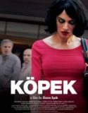 Köpek