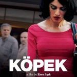 Köpek