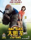 Mr. Go