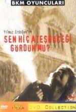 Sen Hiç Ateş Böceği Gördün Mü