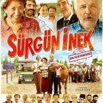 Sürgün İnek