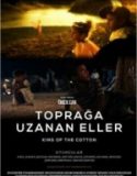 Toprağa Uzanan Eller